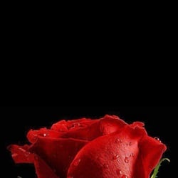 Photo Massage Tantra